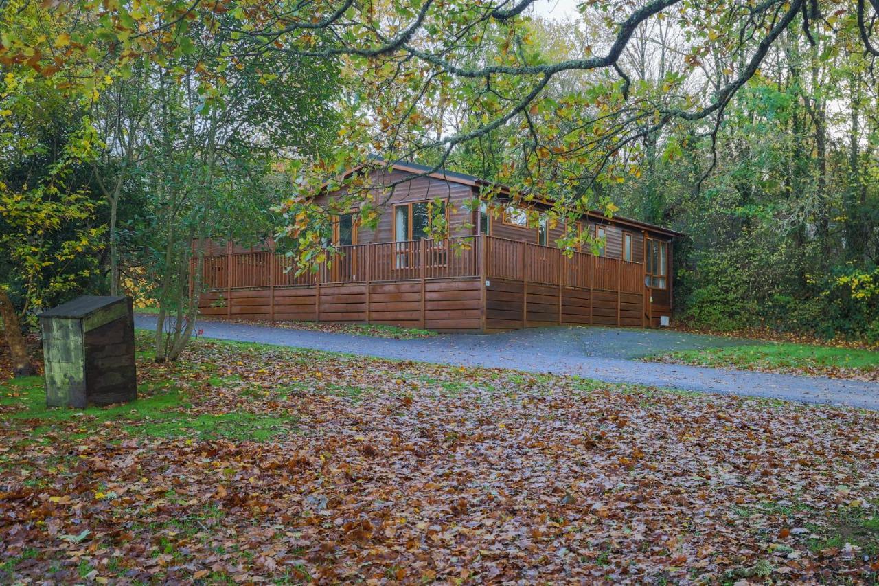 Charming Copse Corner Lodge - Spa Resort - Devon Chudleigh Kültér fotó